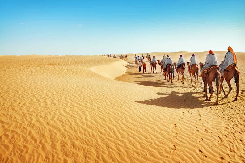 tunisia-sahara-desert-camels