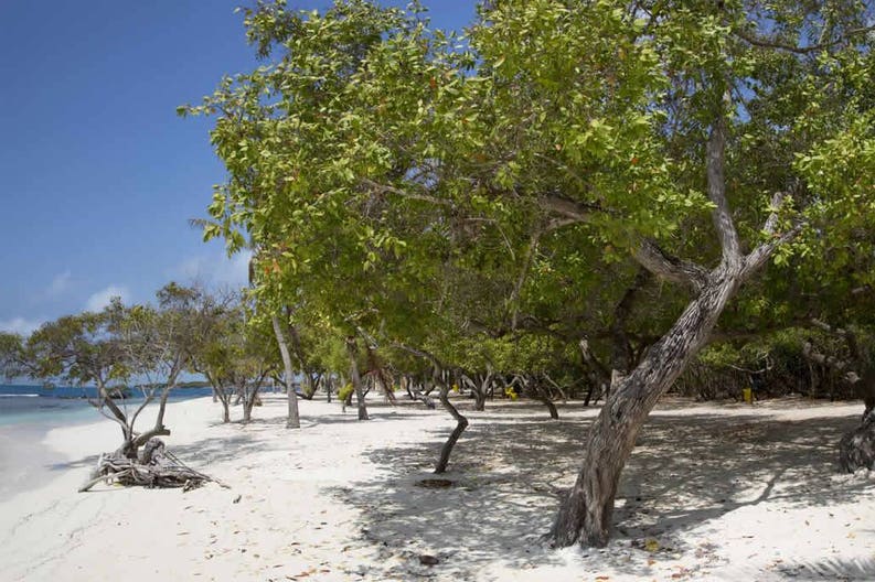 venezuela-morrocoy-national-park