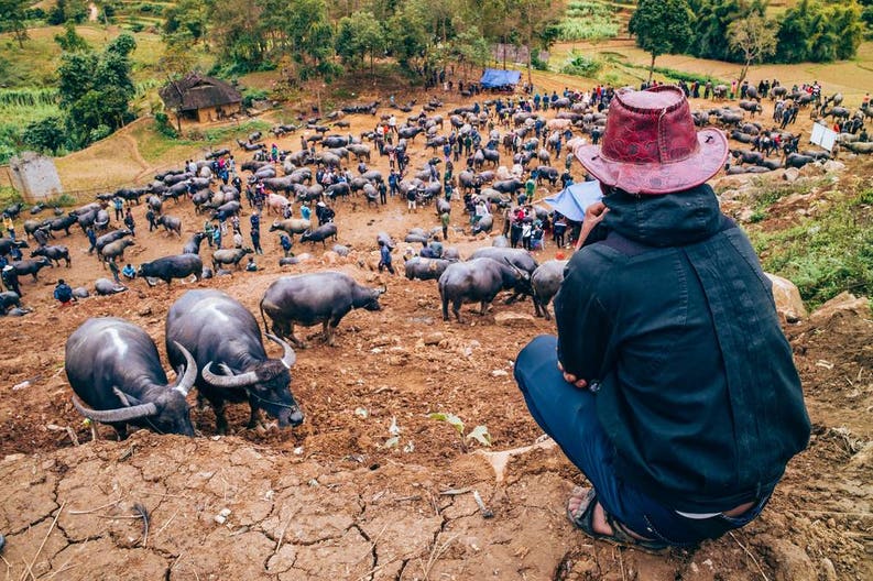 Can Cau città in Vietnam