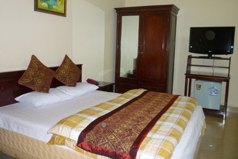 hoa-cuong-meo-vac-camera1