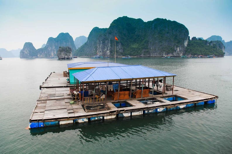 floating-fishing-village-on-halong-bay-hanoi-vietnam