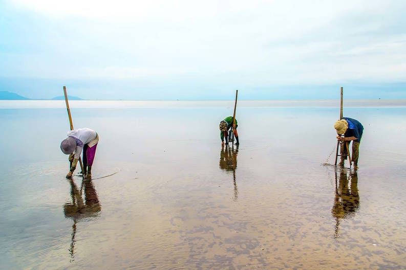 vietnam-clam-field-on-the-beach
