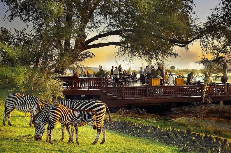 Garden with zebras of Toyal Livingstone Hotel in zambia